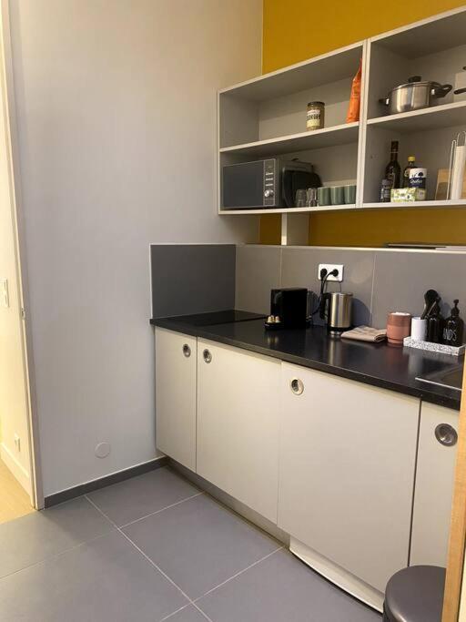 Modern Parisian Flat In Montparnasse Area