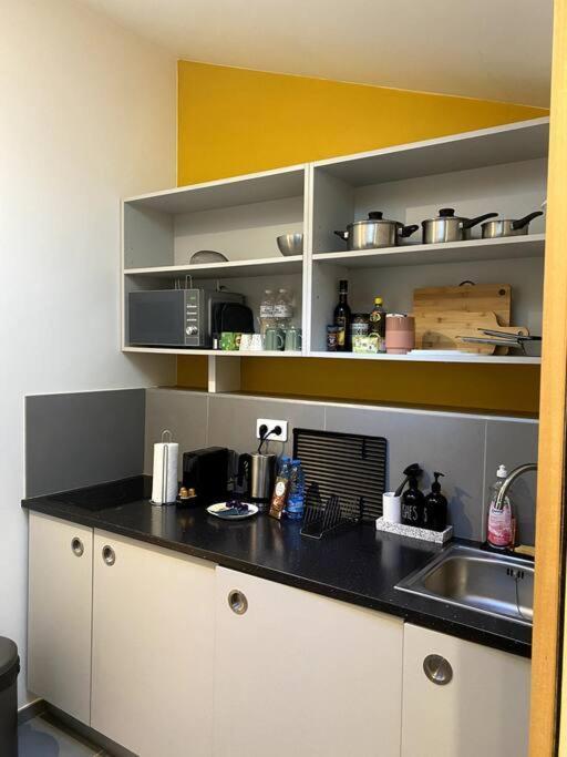 Modern Parisian Flat In Montparnasse Area *